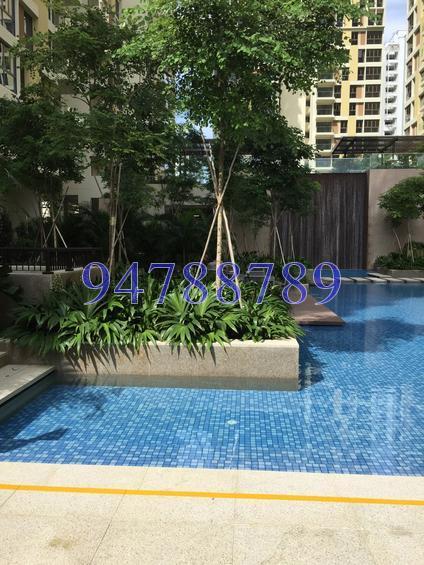 Terrasse (D19), Condominium #151881342